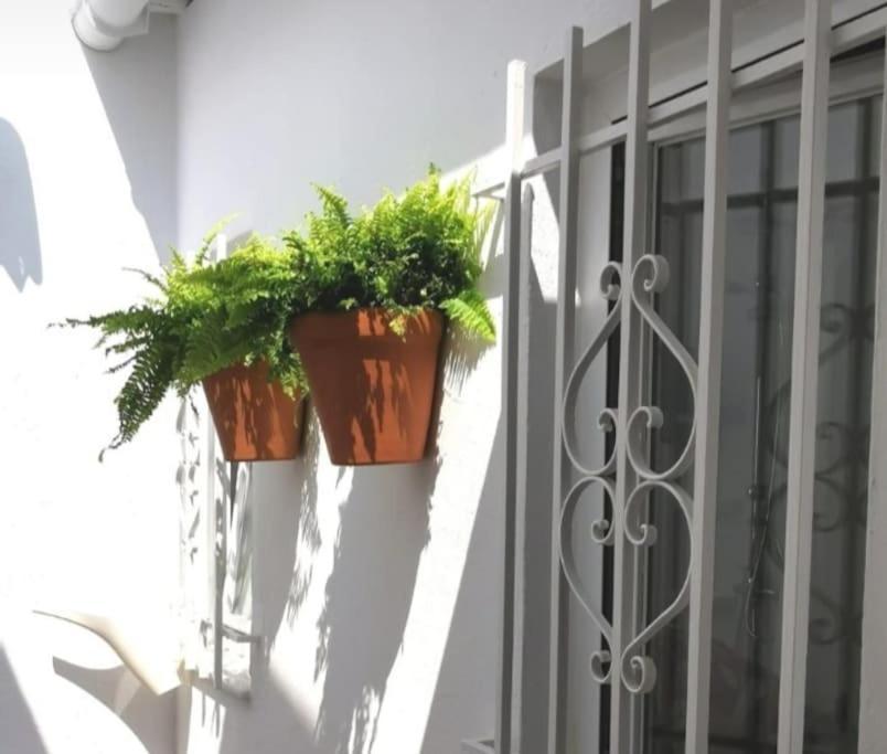 La Marieta, Casita Acogedora Y Centrica Villa Castilleja de la Cuesta Exteriör bild